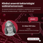 webinárium